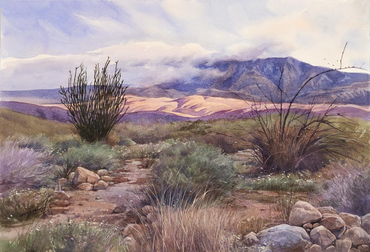 Borrego Desert by Jason Li